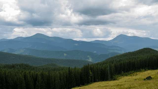 Івано-Франківська область