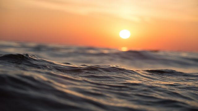 4 400 мигрантов погибли в море в 2021 году – отчет