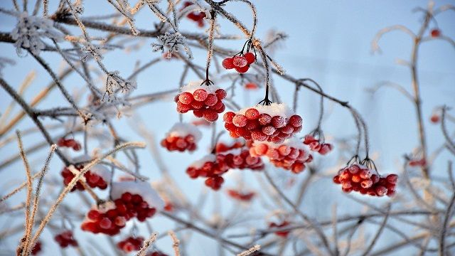 Зима 2022-2023 годов была одной из самых теплых в Украине за последние два столетия