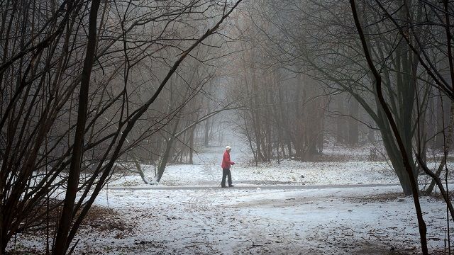 Погода на зиму в Україні 2022-2023: прогноз синоптиків