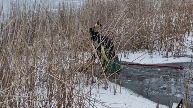 Вбивство 11-річного хлопчика на Запоріжжі: підозрювані зізналися у ще одній розправі