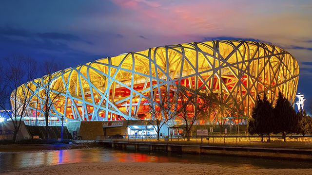 Пташине гніздо