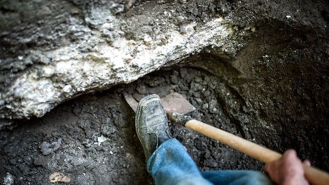 Копати землю_копач_чоловік копає землю_лопата