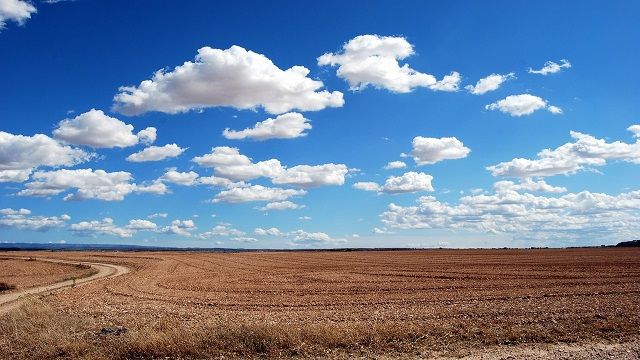 Гройсман закликав розпочинати посівну кампанію та запускати виробництва