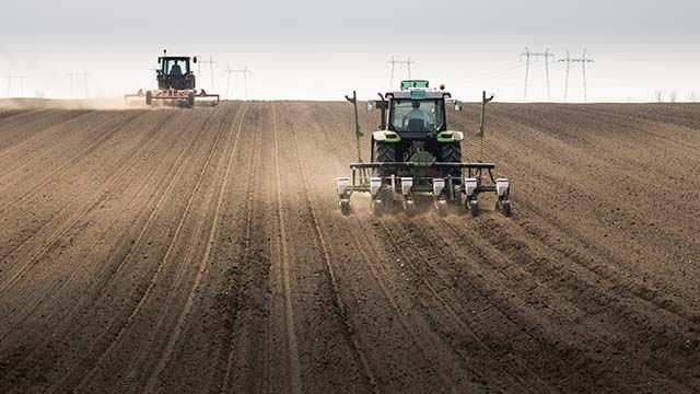 посівна в Україні