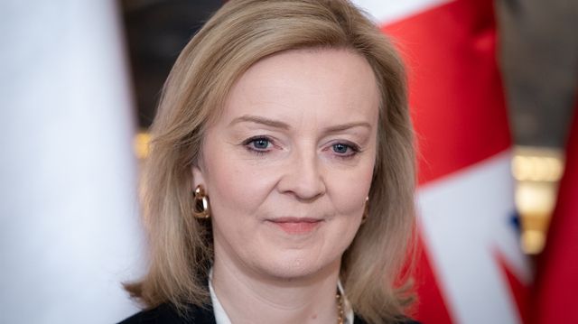 Британия призовет союзников отправить боевые самолеты в Украину