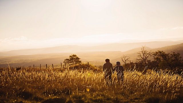 В Україні загинуло 219 і постраждало 404 дитини з початку війни