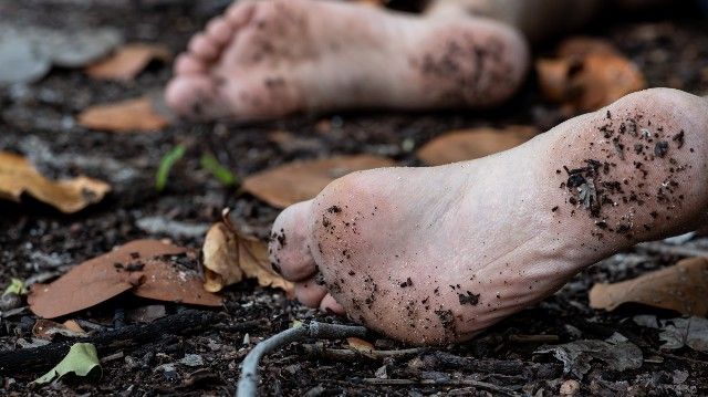 труп_тіло людини_тіло людини в лісі_труп у лісі_смерть_катування_зґвалтування