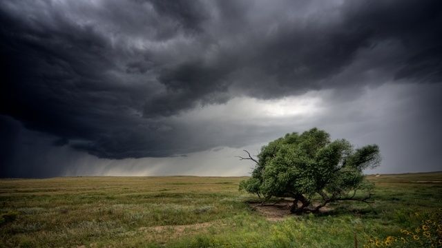 Поваленные деревья и песчаная буря: последствия мощного урагана в Ровно