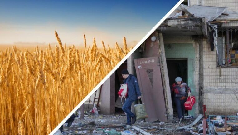 Хотят продержаться после санкций: в Луганской области оккупанты уже украли 25 тыс. тонн зерна