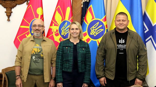 Резніков, Брінк, Залужний
