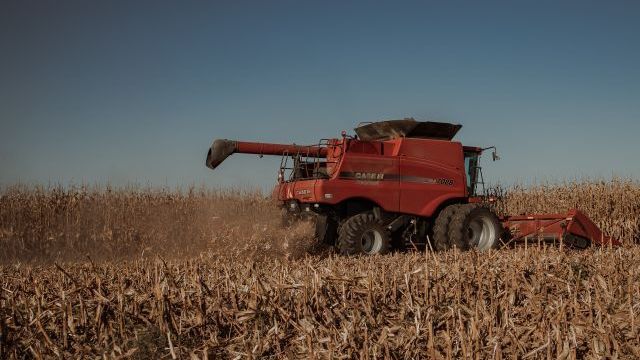РФ залучає організовану злочинність для крадіжки зерна з України – ISRP