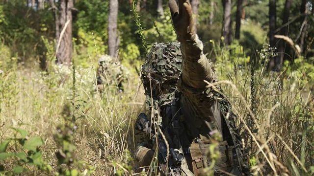 На Луганщині почали досить вдало працювати партизани – Гайдай