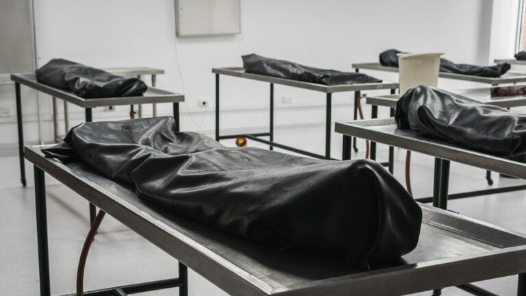 В моргах Киевской области более 270 тел погибших, большинство — неидентифицировано