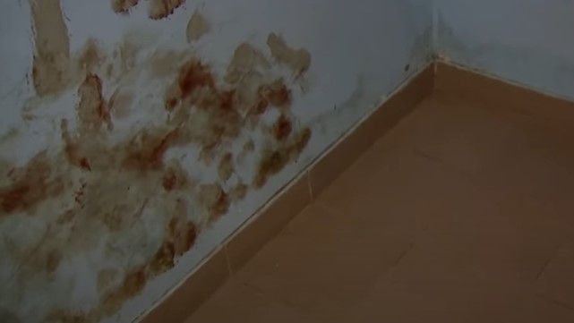 Сліди катувань тримаються уже 5 місяців! Ексклюзивні кадри з підвалу окупованого Тростянця