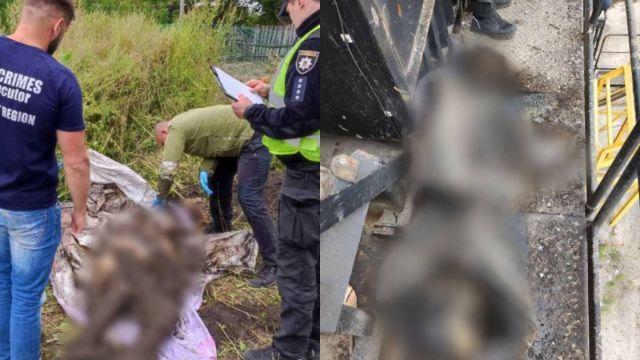 Тіла закопали навпроти вокзалу: на Харківщині знайшли ще чотирьох закатованих жителів