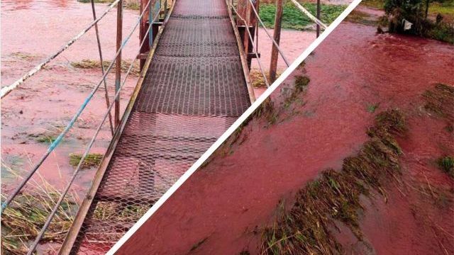 В Кривом Роге покраснела вода в реке Ингулец
