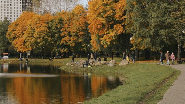 Бабье лето в Украине продержится неделю — точные даты
