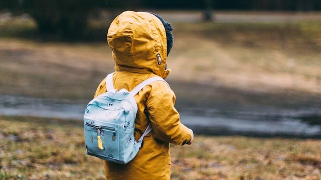 Мобілізація, перші виплати Нацкешбеку, пенсії та опалювальний сезон: зміни з 1 жовтня Фото 5 школяр канікули