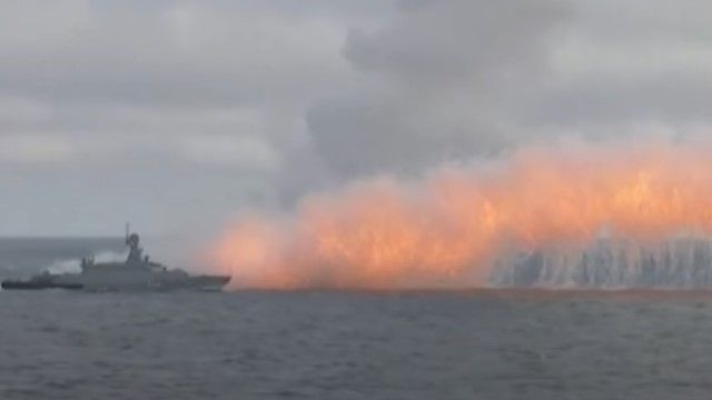 Масова загибель дельфінів та зменшення червонокнижних птахів: парк Тузлівські лимани потерпає від росіян