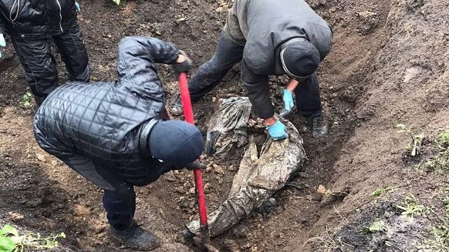 Под Херсоном нашли захоронение с застреленными работниками сельхозпредприятия – NYT