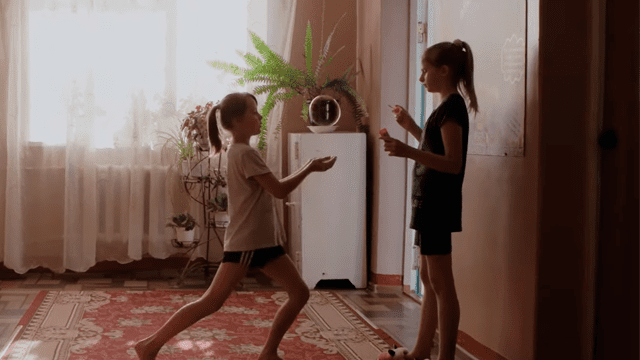 Будинок зі скалок