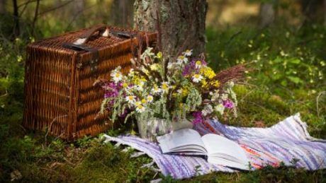 Майские праздники