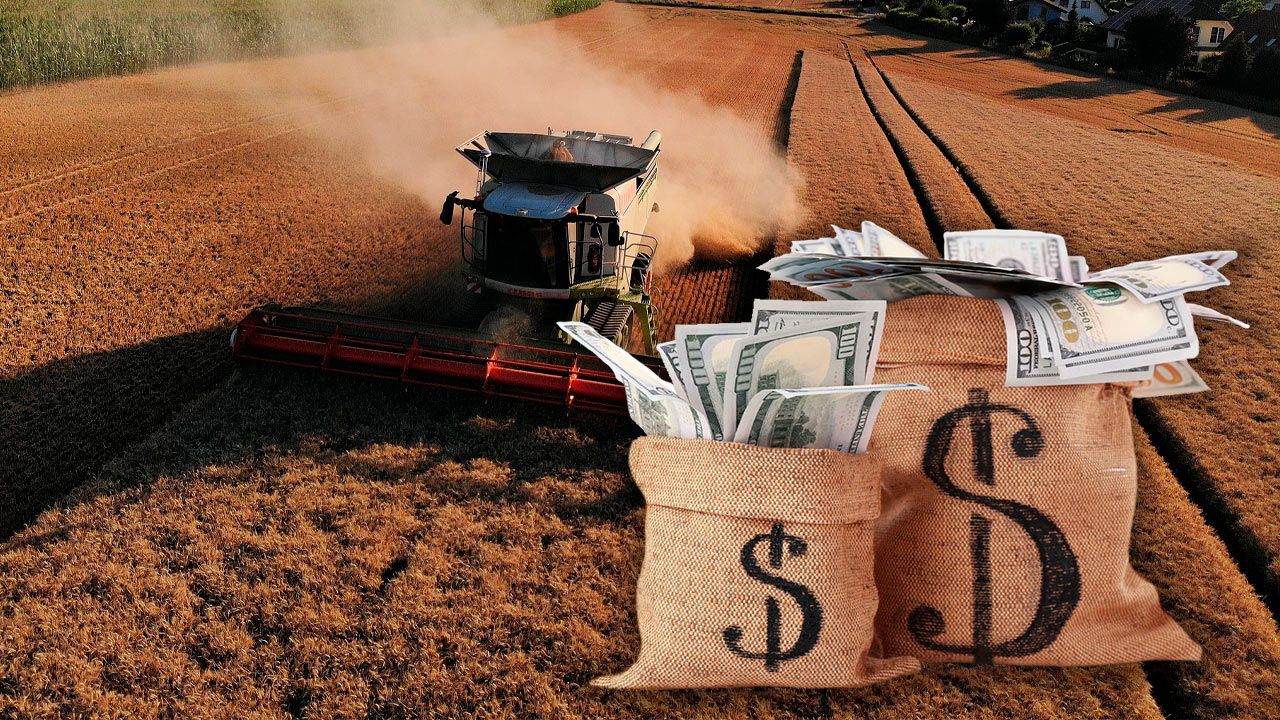 Рынок земли