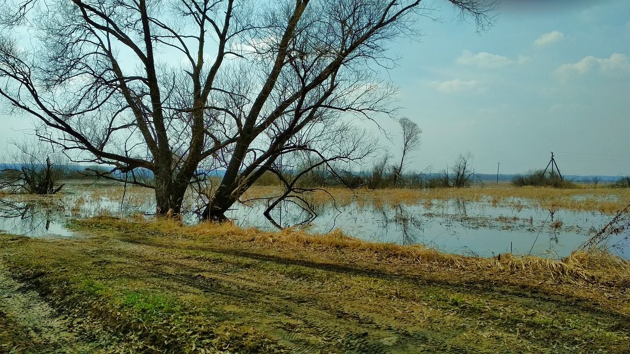 розлив річки