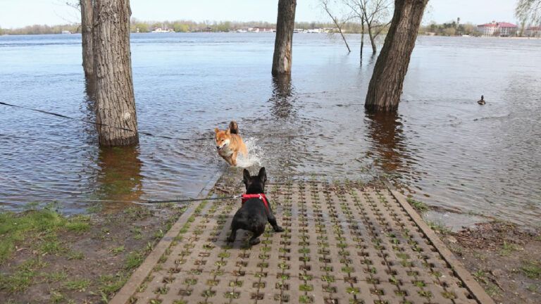 Повінь у Києві