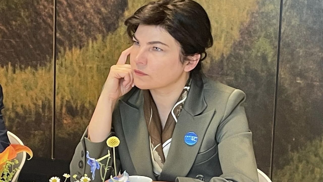 Ірина Венедіктова