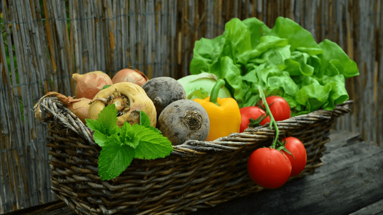 Експерт розповів, що буде з цінами на продукти у вересні 2023 року