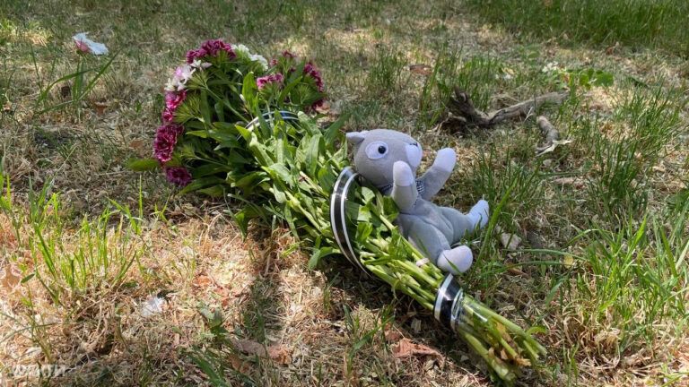 Квіти та іграшки під поліклінікою Деснянського району 1 червня 2023