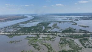 Олешки з повітря