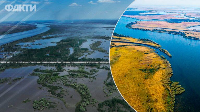 Нижнеднепровский природный парк полностью уничтожен водой, из-за подрыва Каховской ГЭС