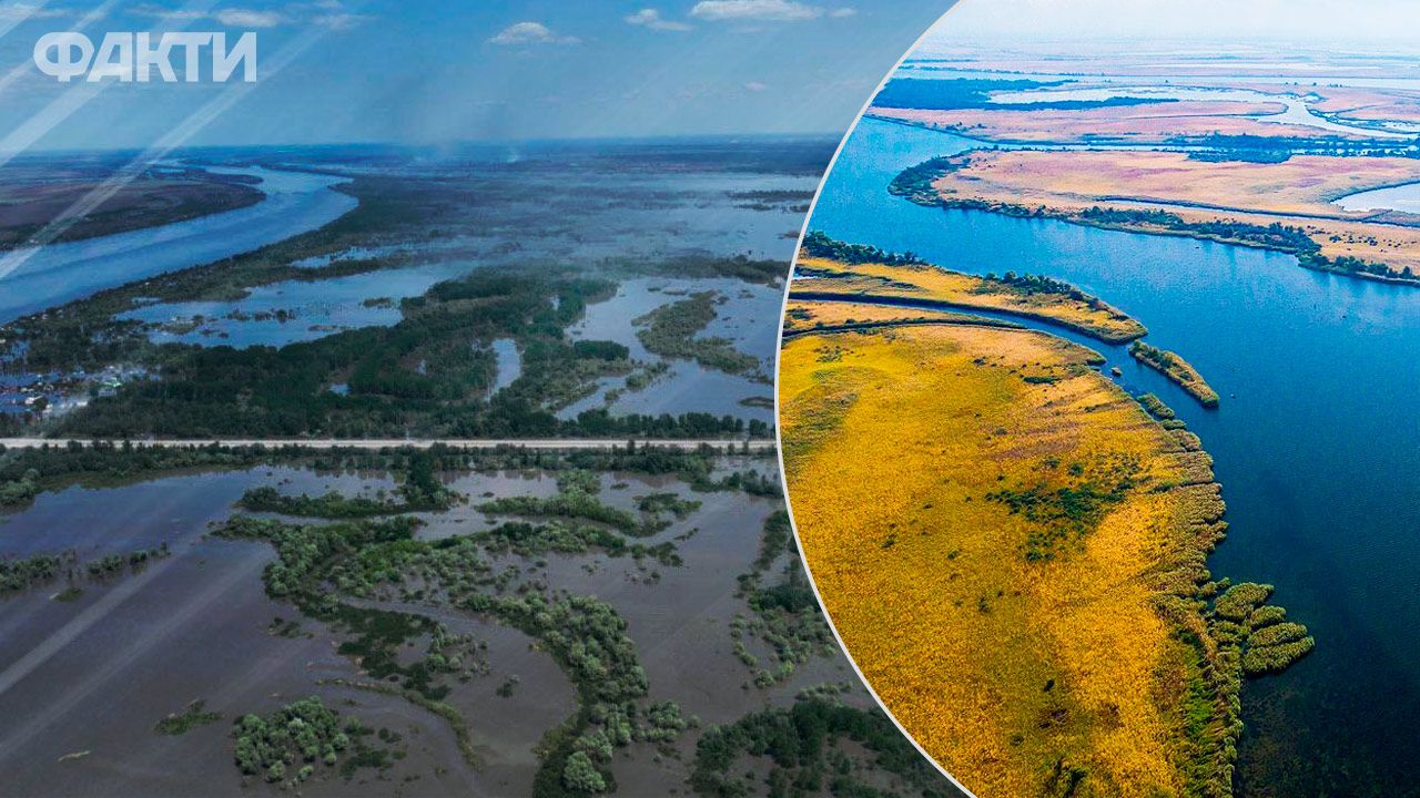 Нижнеднепровский природный парк полностью уничтожен водой, из-за подрыва Каховской ГЭС