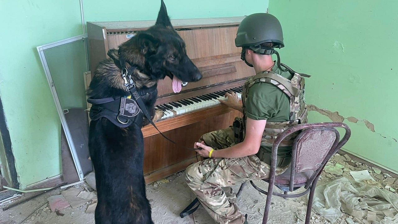 Про роботу під обстрілами, пса Пана та пастки окупантів: поліцейська про розмінування Херсонщини