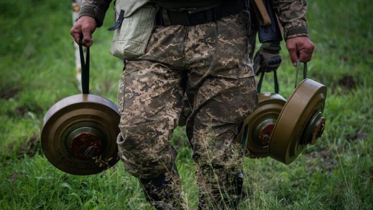 На гуманитарное разминирование Украины предоставят более $240 млн — Свириденко