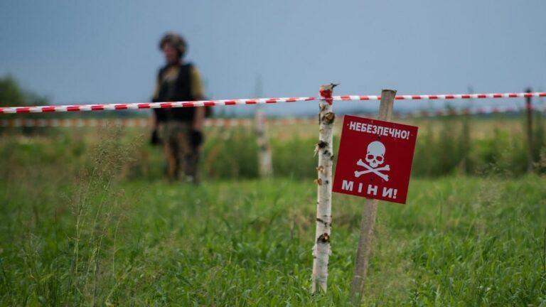Украина планирует привлекать женщин к разминированию территорий