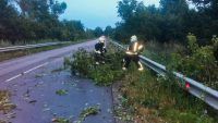 Буревій та шквальний вітер в Україні 25 липня 2023 – перші подробиці негоди