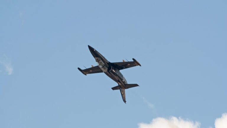 військовий навчально-тренувальний літак L-39