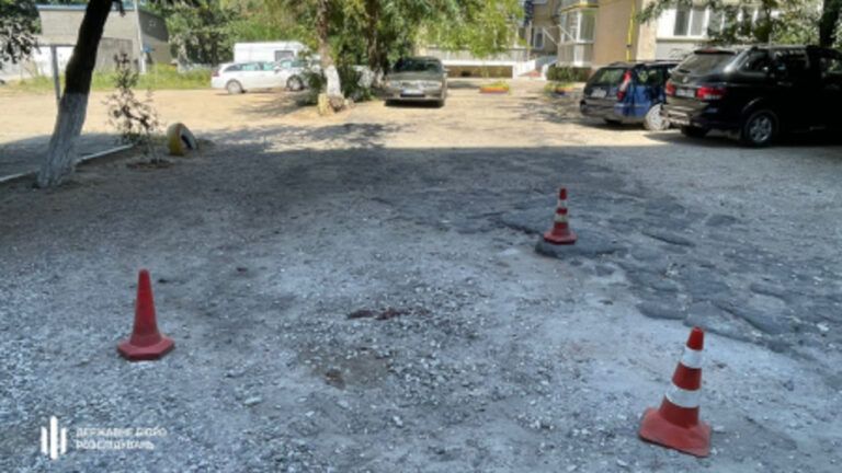В Одесской области полицейский дважды переехал 81-летнюю женщину и скрылся с места ДТП