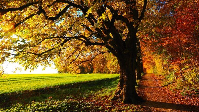 Погода на вересень 2023