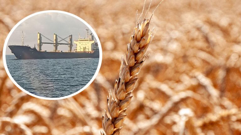 Судно - тимчасовий коридор, зерно