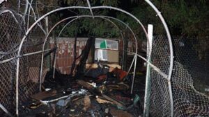 Пожежа в притулку для тварин Котобаза 23 вересня 2023