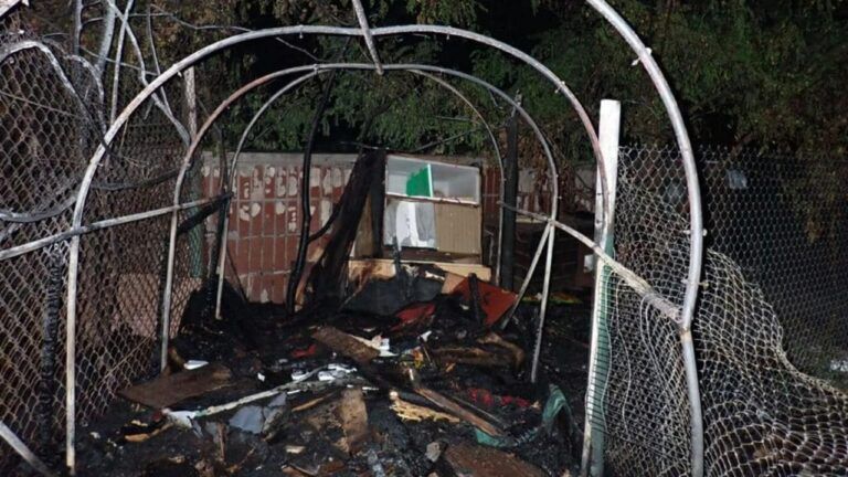 Пожежа в притулку для тварин Котобаза 23 вересня 2023