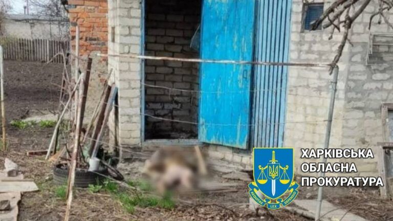 На Харківщині чоловік вбив співмешканку та сховав тіло у вигрібній ямі