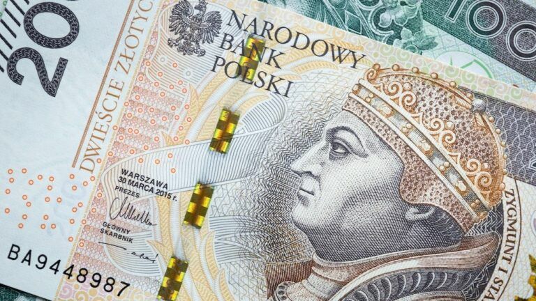 Чи задоволені українці зарплатою у Польщі – опитування