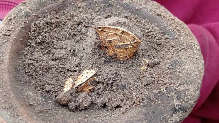 У Білій Церкві виявили золоті прикраси часів Гетьманщини