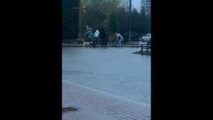 Зробив зауваження та вдарив ножем: у Львові пенсіонер поранив чоловіка у груди та живіт